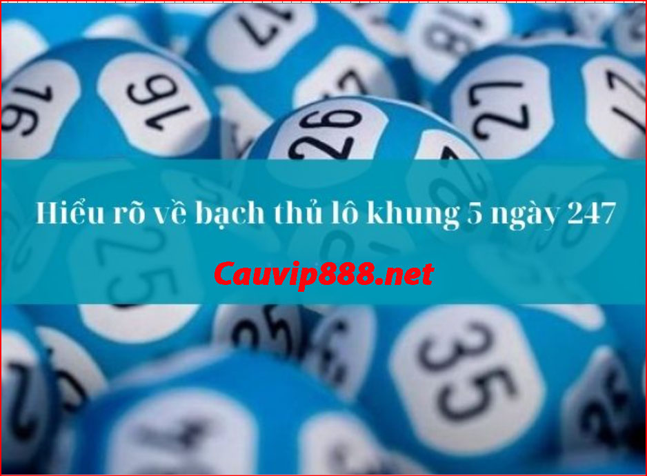 Bạch thủ lô khung 5 ngày  hiểu như thế nào?