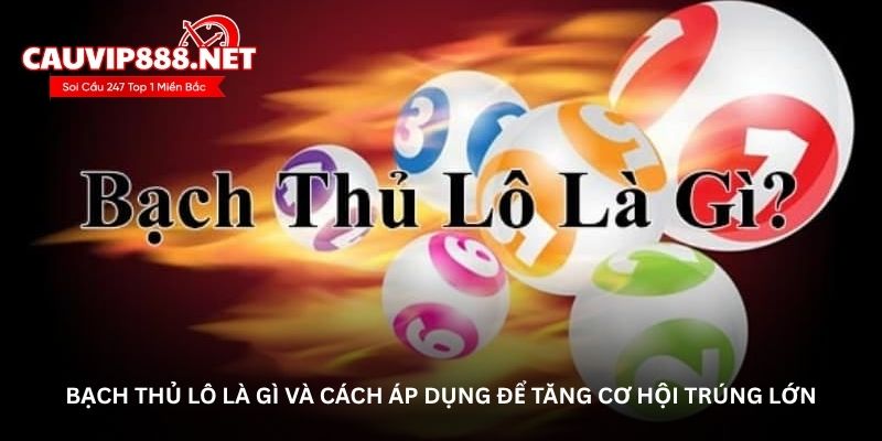 Bạch thủ lô là gì và cách áp dụng để tăng cơ hội trúng lớn