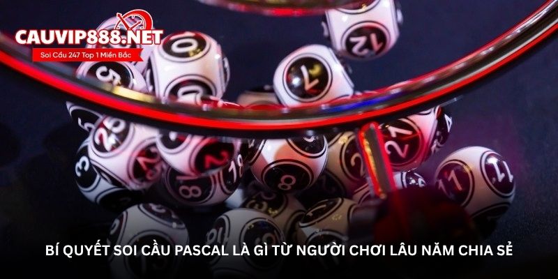 Bí quyết soi cầu Pascal là gì từ người chơi lâu năm chia sẻ