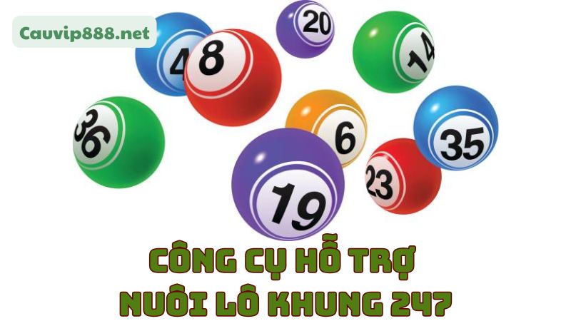 Gợi ý công cụ hỗ trợ nuôi lô khung chất lượng
