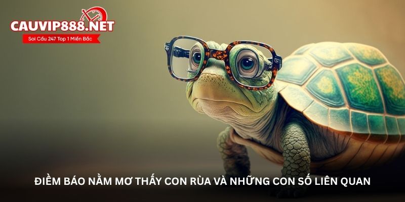 Điềm báo nằm mơ thấy con rùa và những con số liên quan