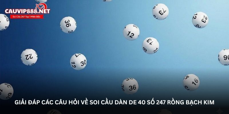 Giải đáp các câu hỏi về soi cầu dàn de 40 số 247 Rồng Bạch Kim