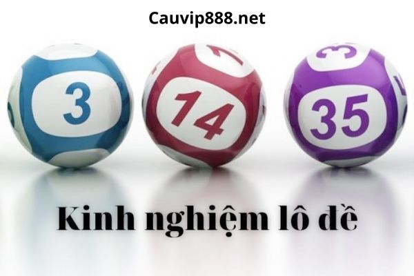 Kinh nghiệm hay là một chuyên mục được cauvip888.net xây dựng bởi đội ngũ chuyên gia