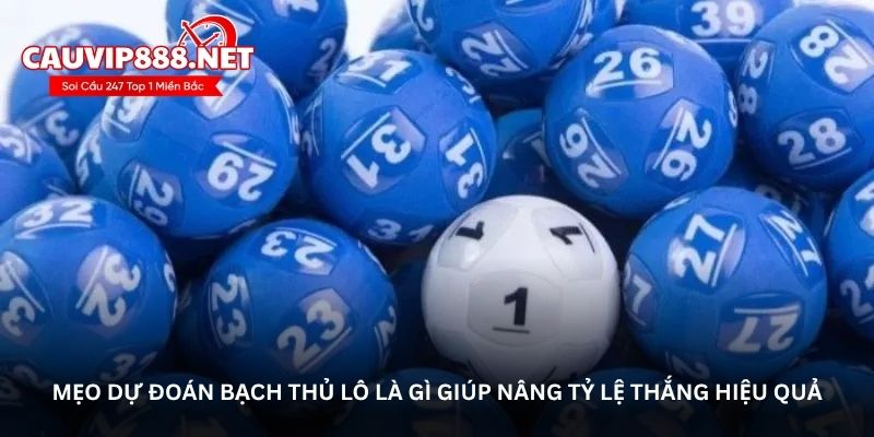 Mẹo dự đoán bạch thủ lô là gì giúp nâng tỷ lệ thắng hiệu quả