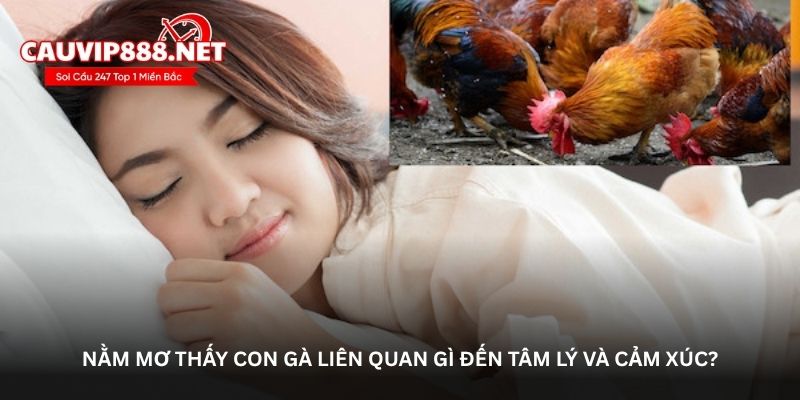 Nằm mơ thấy con gà liên quan gì đến tâm lý và cảm xúc?