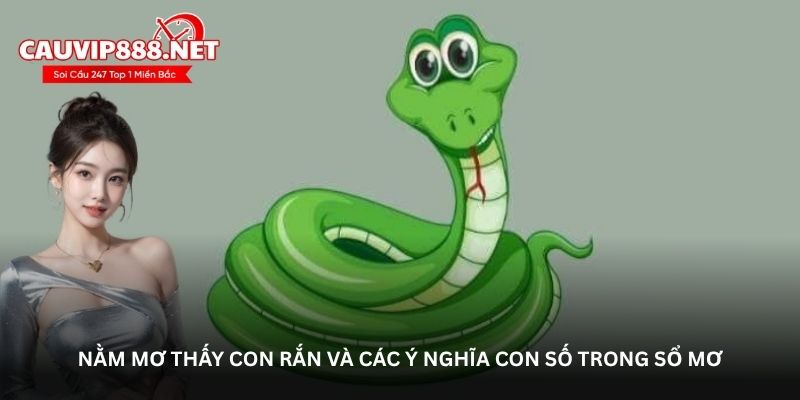 Nằm mơ thấy con rắn và các ý nghĩa con số trong sổ mơ