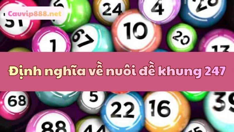 Khám phá về khái niệm nuôi đề khung 247