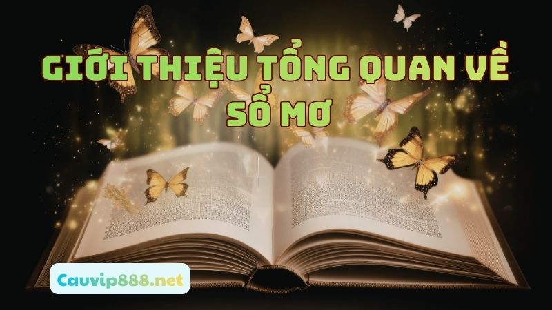 Tìm hiểu tổng quan về sổ mơ