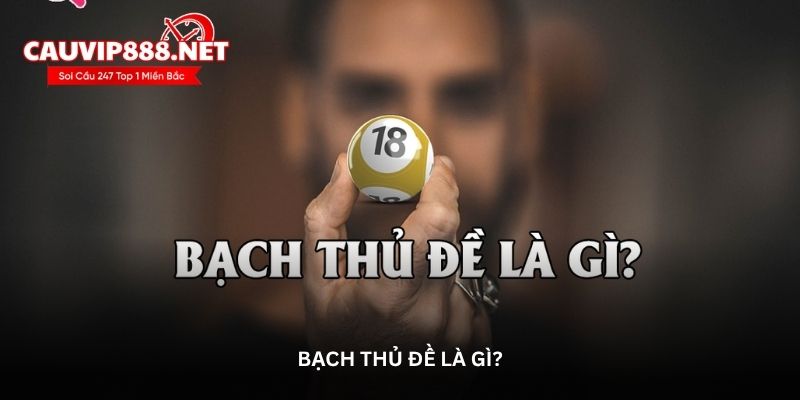 Bạch thủ đề là gì?