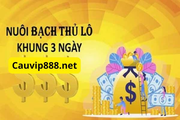 Tại Cauvip888 anh em dễ dàng tham khảo được soi cầu bạch thủ lô VIP mỗi ngày miễn phí