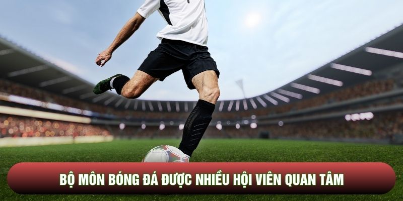 Bộ môn bóng đá được nhiều hội viên quan tâm
