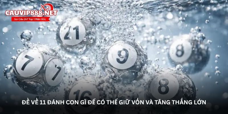Đề về 11 đánh con gì để có thể giữ vốn và tăng thắng lớn