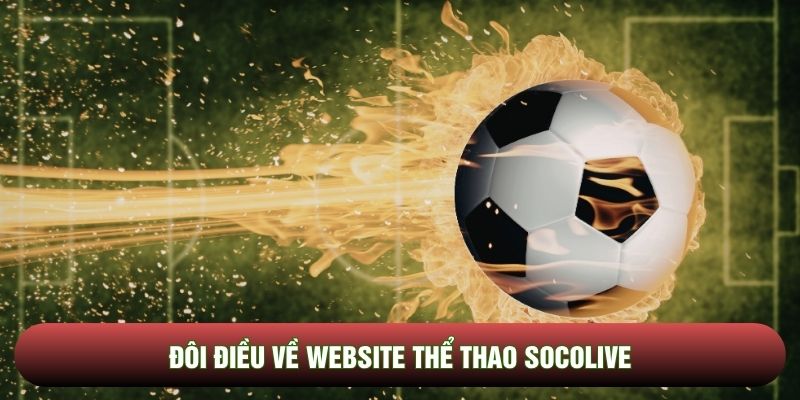 Đôi điều về website thể thao Socolive