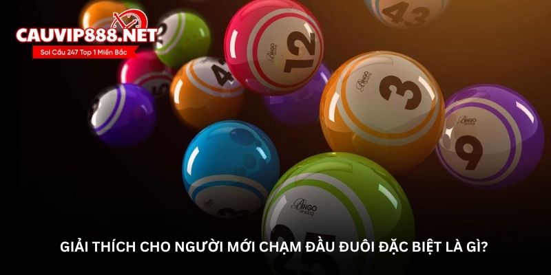 Chạm đầu đuôi đặc biệt miền bắc chính xác nhất hôm nay
