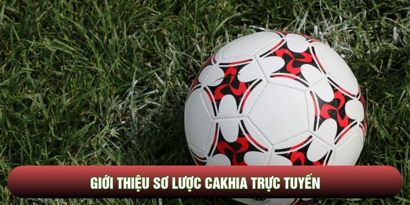 Giới thiệu sơ lược Cakhia trực tuyến