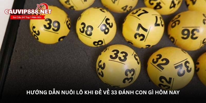 Hướng dẫn nuôi lô khi đề về 33 đánh con gì hôm nay
