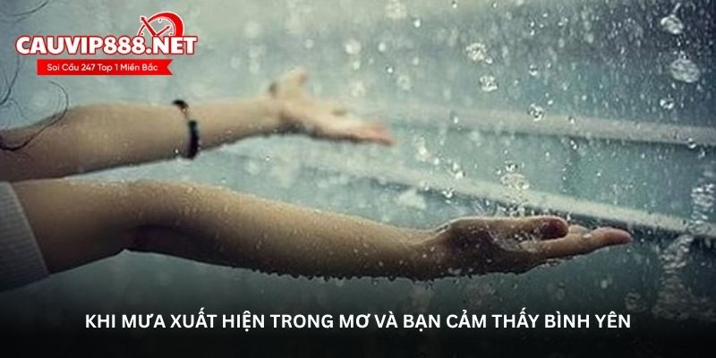 Khi mưa xuất hiện trong mơ và bạn cảm thấy bình yên