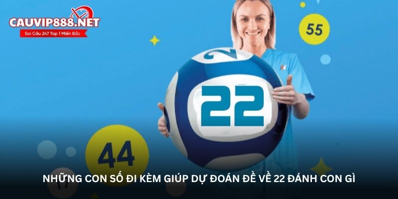 Những con số đi kèm giúp dự đoán đề về 22 đánh con gì