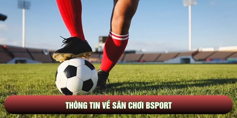Thông tin về sân chơi Bsport
