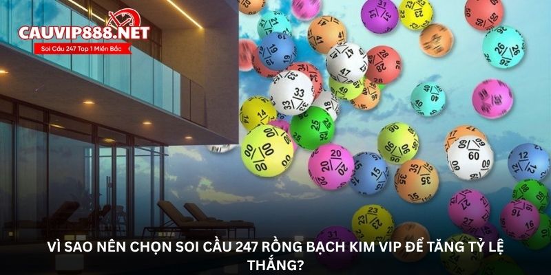 Vì sao nên chọn soi cầu 247 rồng bạch kim VIP để tăng tỷ lệ thắng?