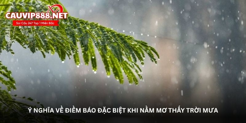 Ý nghĩa về điềm báo đặc biệt khi nằm mơ thấy trời mưa