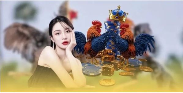 Cách Thực Hiện Đá Gà Ăn Xu Đổi Tiền