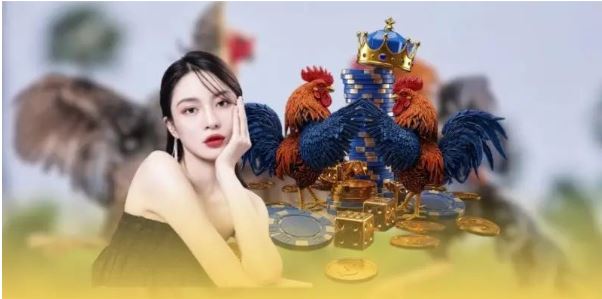 Tại Sao Gà Chọi Đẹp Lại Được Yêu Thích?