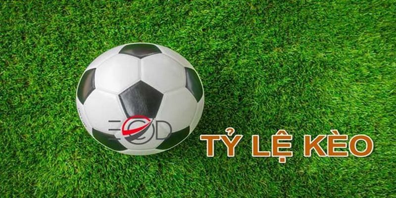 Tỷ Lệ Kèo Nhà Cái Là Gì Và Cách Tính Cược Cực Chuẩn
