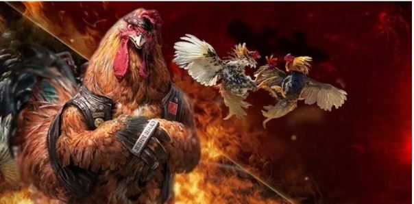 Ý nghĩa phong thủy và ứng dụng của cựa gà