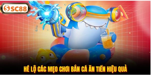 Cách triển khai hiệu quả với chọn cá, chỉnh đạn, giữ vốn và quan sát
