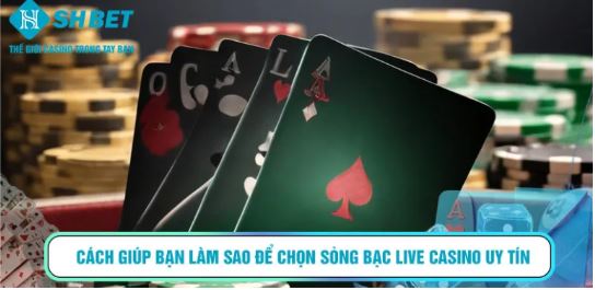 CASINO SHBET và trải nghiệm bàn chơi trực tuyến cuốn hút cho người chơi hiện đại
