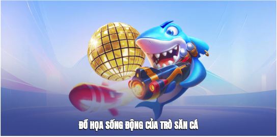 Kinh nghiệm thực tế: Quản lý đạn, giữ kỷ luật và hạn chế rủi ro