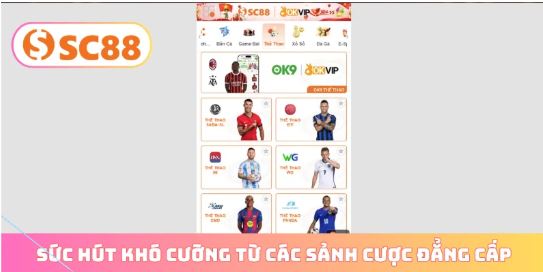 Cách chơi bài bản, đọc trận chính xác, chọn kèo hợp lý và kiểm soát ngân sách